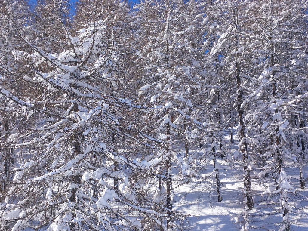 Hotel Shackleton Mountain Resort Sestriere Exterior foto
