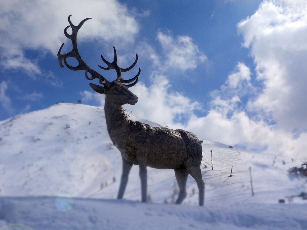 Hotel Shackleton Mountain Resort Sestriere Exterior foto